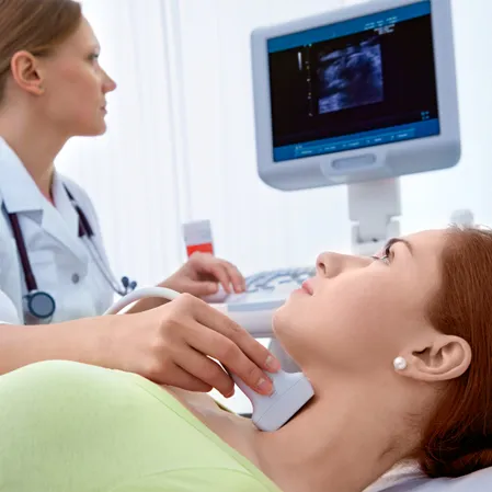 Functional Medicine Erie CO Thyroid Health